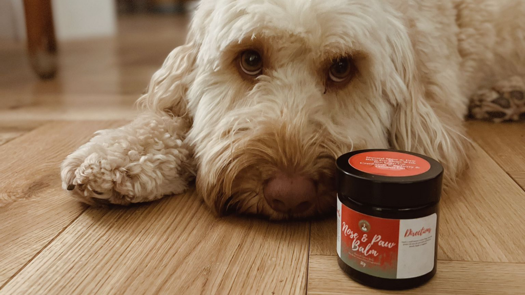 Dog Balms